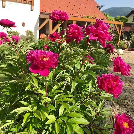 Apartmán * Prachatice